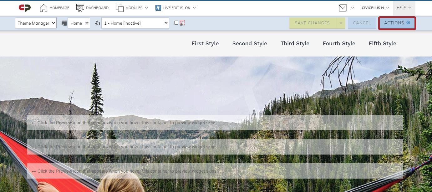 select actions in theme manager
