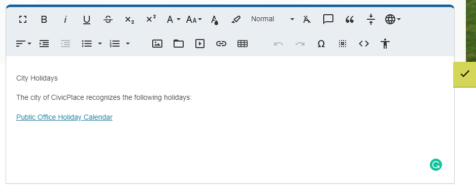 text inside editor widget box