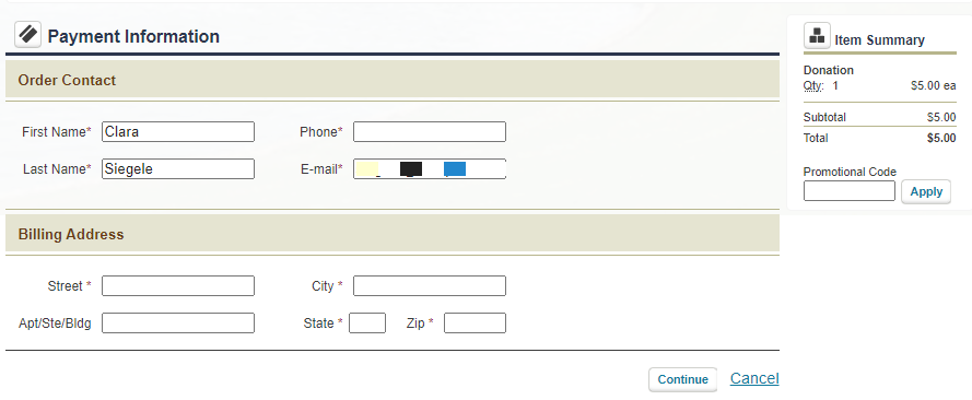 payment information fields.