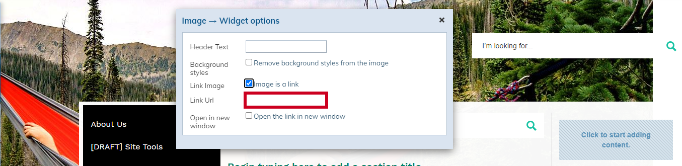 Web Central Image Widget Options Link URL Field.