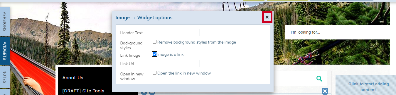 Web Central Image Widget Options Dialog Box Click X to Close.