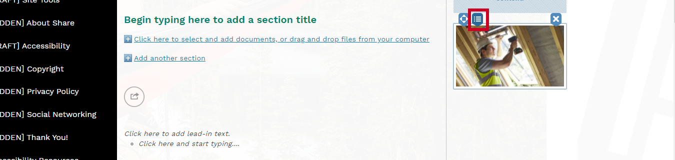 Web Central Image Widget Options Button.