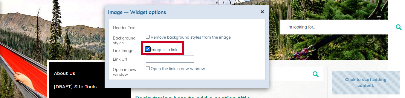 Web Central Image Widget Options Image Is a Link Checkbox.