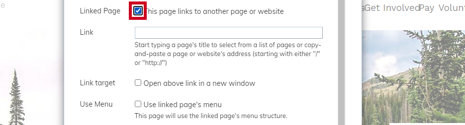 linked page checkbox