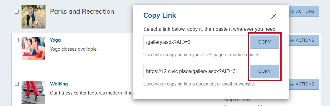 copy copy