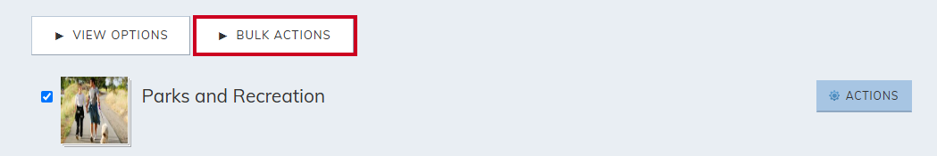 Bulk actions button.