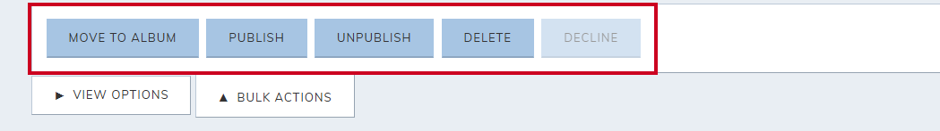 bulk action options