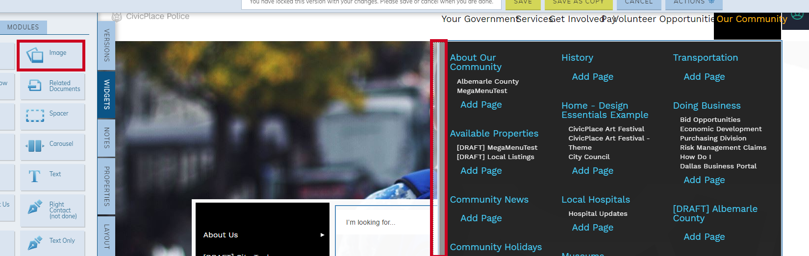 Web Central, Live Edit pane, Widgets tab, drag-and-drop Image widget to Mega Menu.