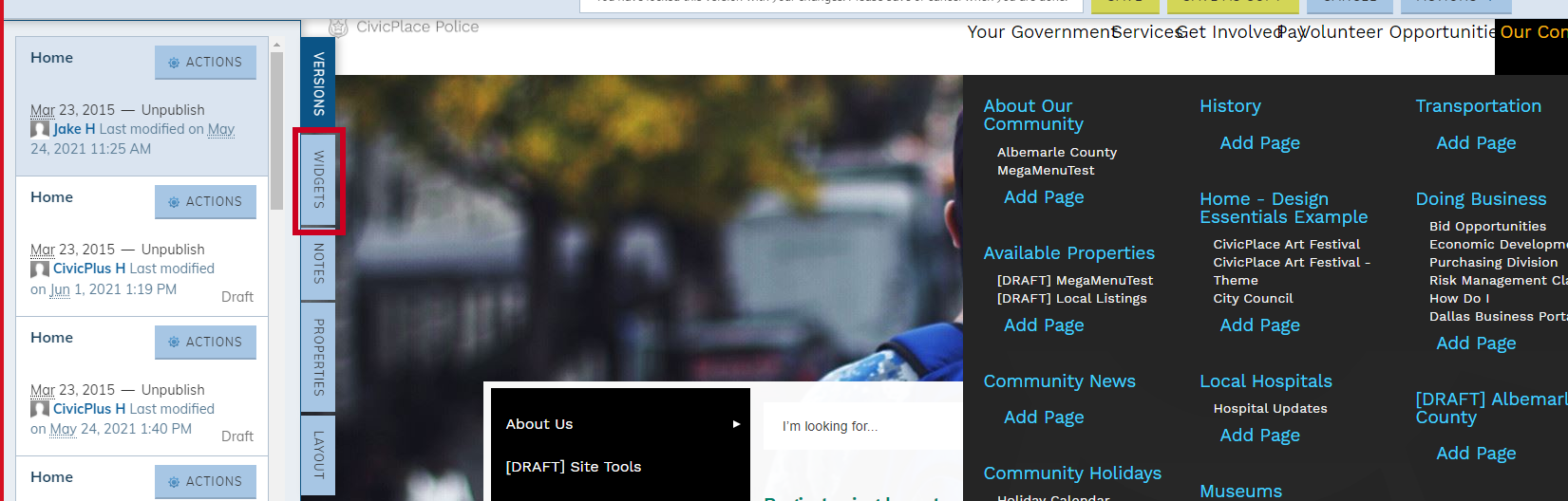 Web Central, Live Edit pane, Widgets tab.