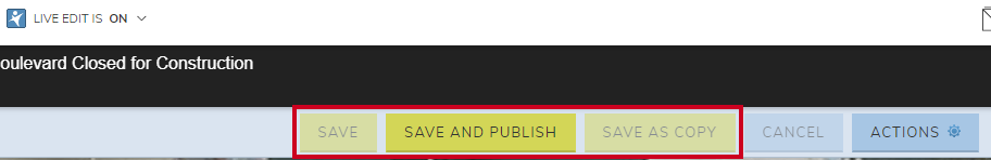 Web Central Page Save, Save and Publish, and Save as Copy buttons.