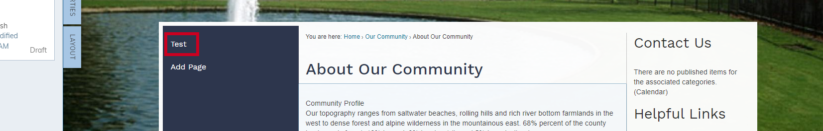 New Page in Custom Navigation.