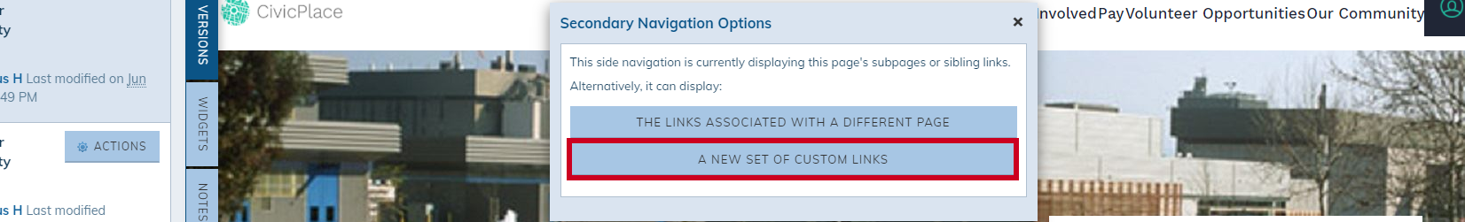 Web Central, Secondary Navigation Options Dialog, A New Set of Custom Links Button.