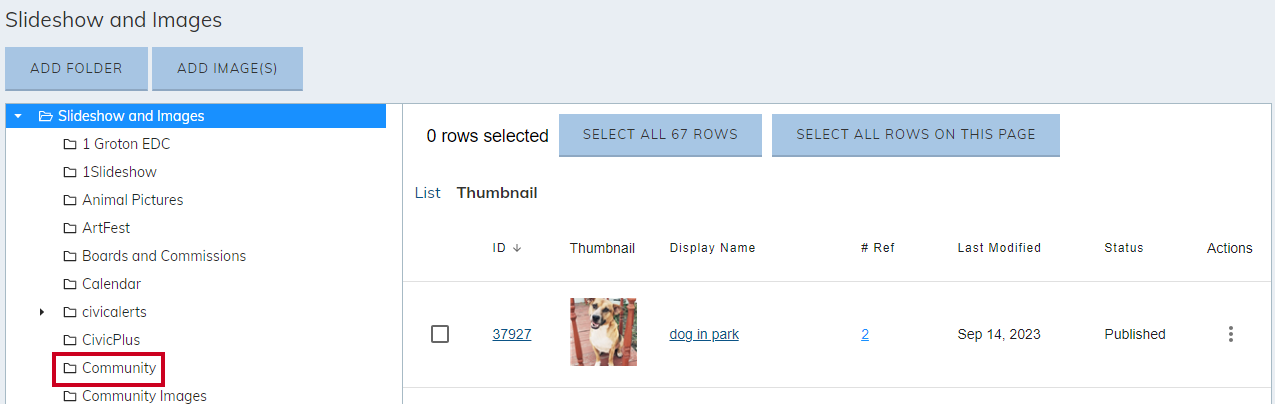 An example Public Images folder.