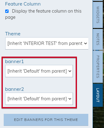 Banner dropdown fields