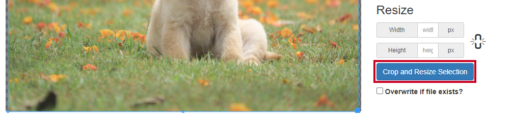 resize crop and resize selection button.