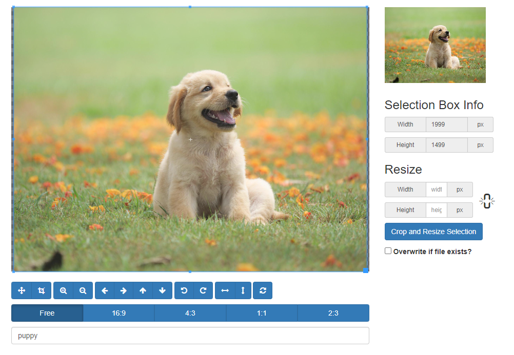 image editor options.