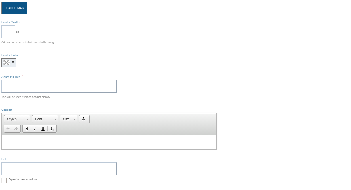 image options fields