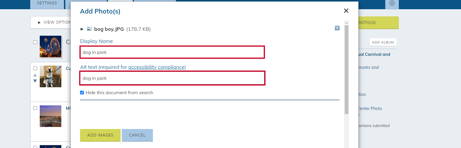 display name and alt text