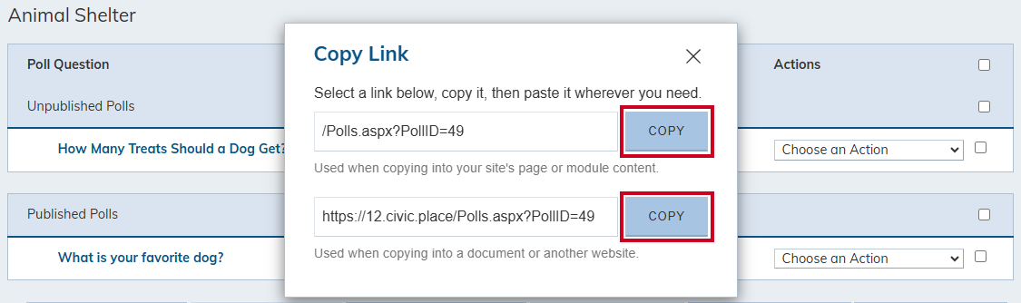 Copy options