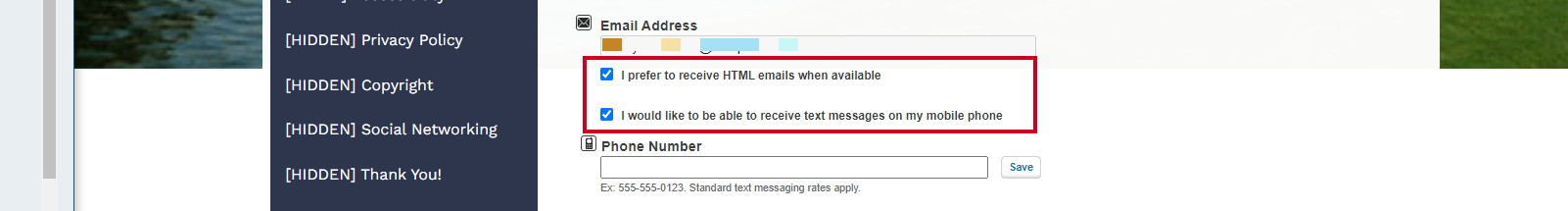 select options