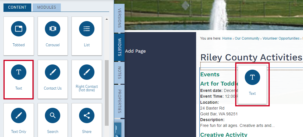 drag-and-drop text widget onto page.
