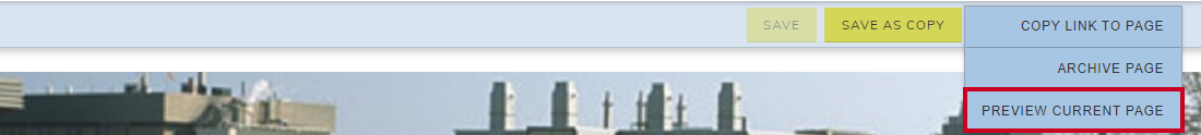 Use the Preview Current Page option to see what the page will look like for end users.