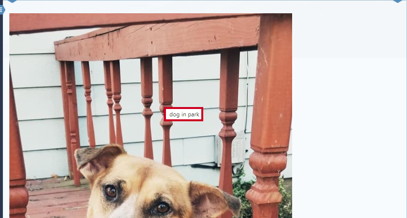 Hovering over your image after adding a title to view the title.