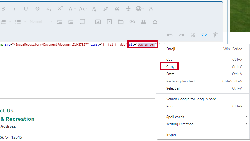 copy alt text