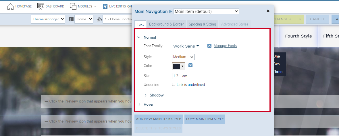 The options in the tab labeled Text.