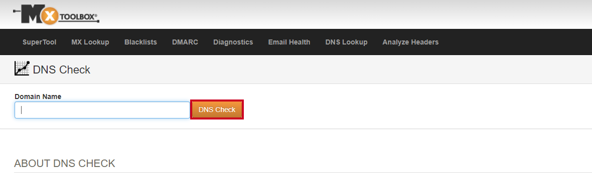 DNS check