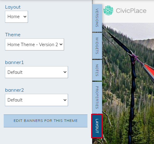 Live Edit pane, Layout Tab.