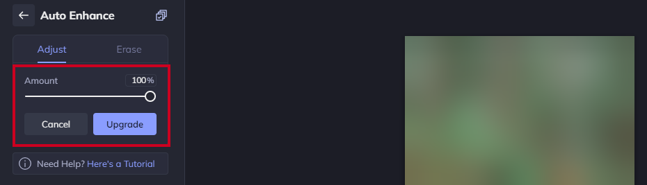 The Auto Enhance slider and percentage box.