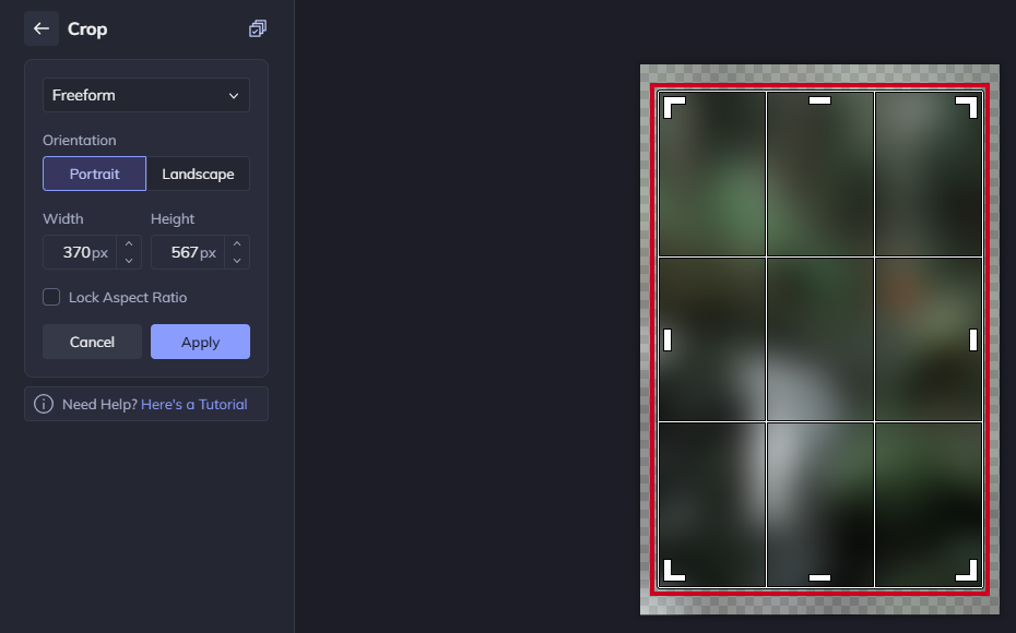 An example image crop area.