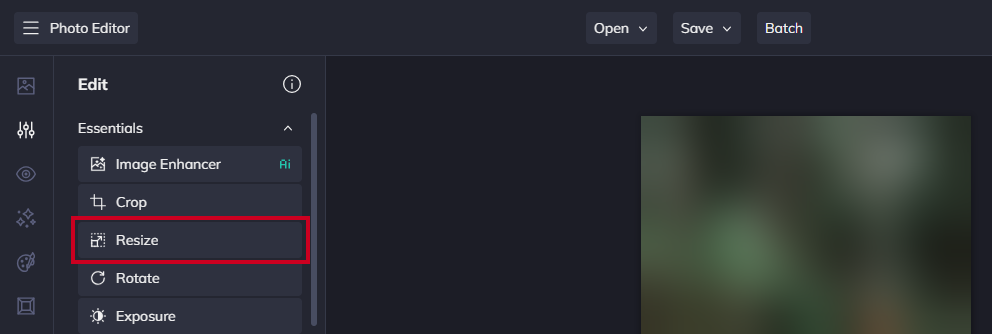 The Resize button within the left-hand navigation menu.