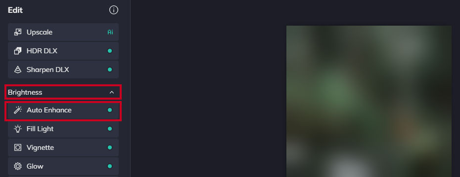 The brightness section within the left-hand navigation menu and the Auto Enhance button.