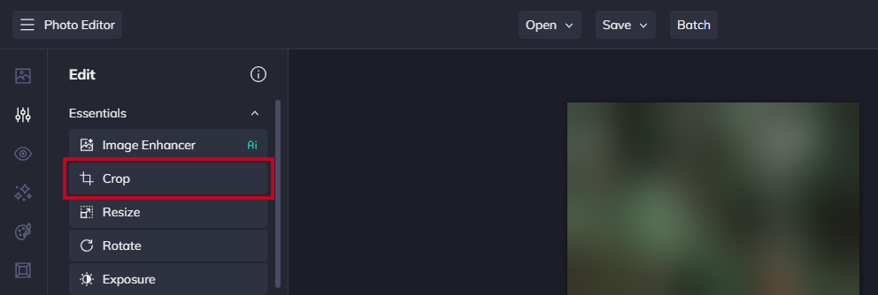 The Crop button.