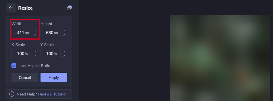 The Width field.