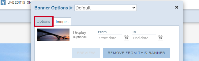 Banner Options pop-up, Options tab.