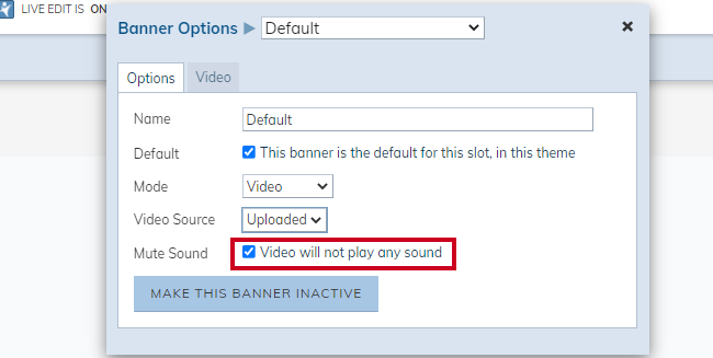 Mute Sound, video will not play any sound option.
