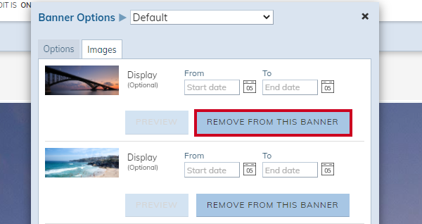 Remove From This Banner button