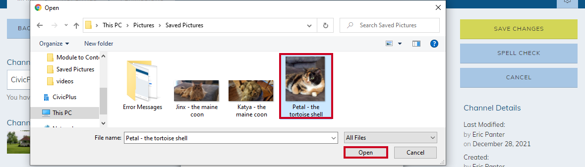 choose image and open