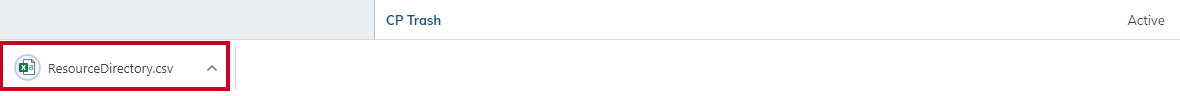exported csv file