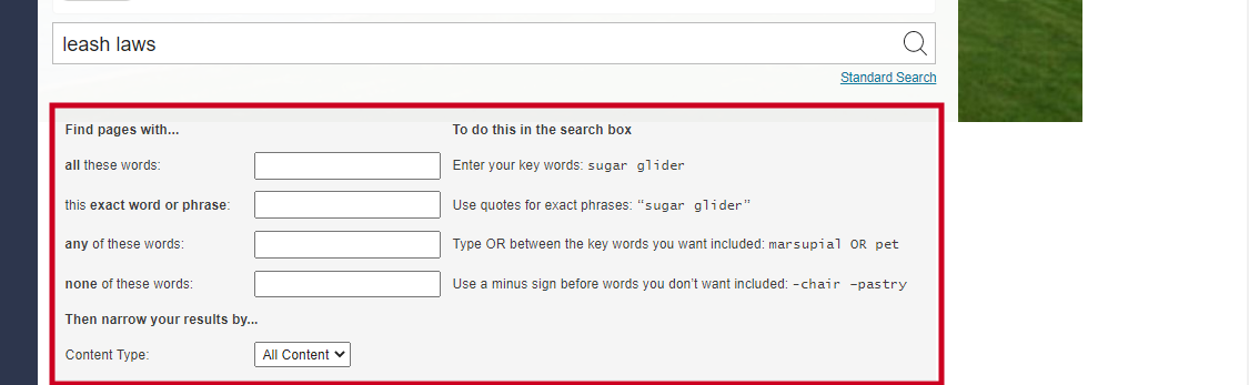 advanced search