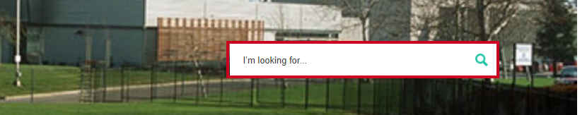 site search box