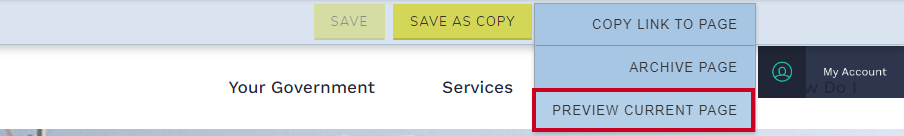 actions preview current page
