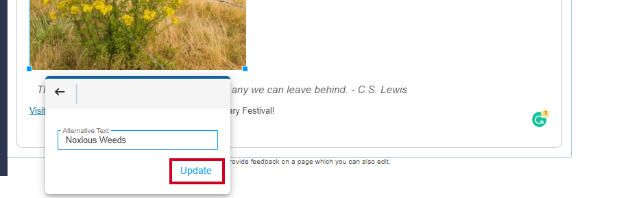 Web Central Editor Widget Image Toolbar Alternative Text Dialog Box Update Button.