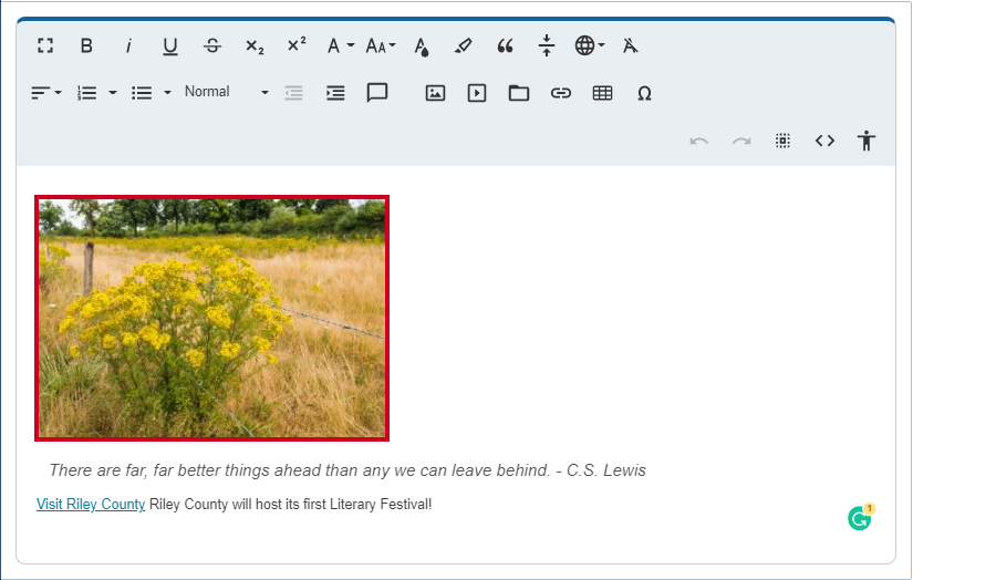 Web Central Editor Widget with Embedded Image.