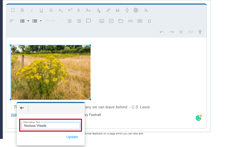 Web Central Editor Widget Image Toolbar Alternative Text Field.