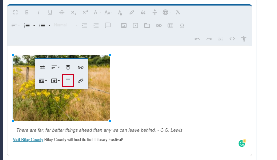 select t on the image toolbar