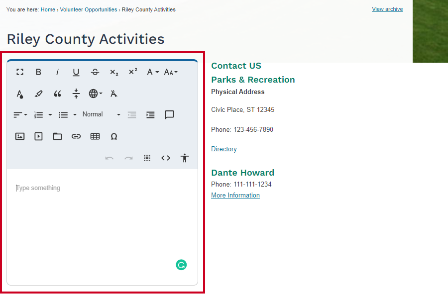 editor widget
